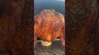 Курица в пивной банке на гриле-пеллете #beercanchicken #bbqnation #bbq #bbqchicken #pelletgrill