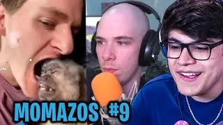 ALDO_GEO REACCIONA A MOMAZOS #9