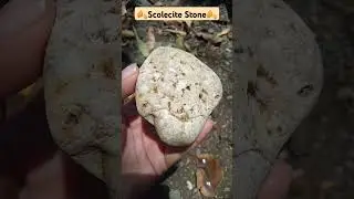 🌼🍂Scolecite Stone🍂🌼From India 🇮🇳#shorts #scolecite #stone #india #crystals