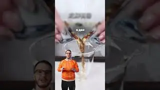 Больше про чай в @chaekshop &mdash; подписывайся, чтобы заваривать только вкусный и качественный чаёк!