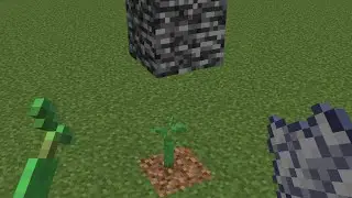 how to break bedrock in 1.19