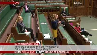 EU Withdrawal Bill - Committee - Day 3 Highlights