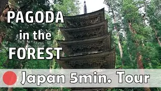 【Japan travel guide#29】Yamagata(5) Hagurosan (Mt. Haguro) (Nikon Z6, DJI Pocket 2)