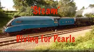 'Steam':  Diving for Pearls @ Hatherleigh Unlocked 2022