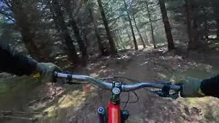 Tarland newest trail. Project mushroom