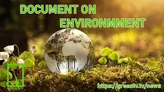 Earth Is Our Only Home | Climate Change and Our Responsibility