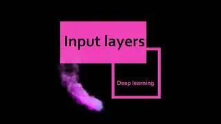 Understanding the Input Layer in Neural Networks - Deep learning series