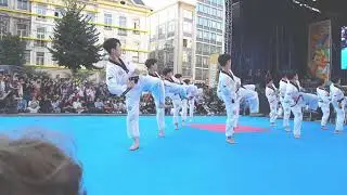 Taekwondo Kukkiwon Demonstration Team - Festival Coréen, Bruxelles (25/09/2021)