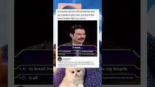 This cat paw prank is pure chaos. Try it! 😈😂 #memes #shorts