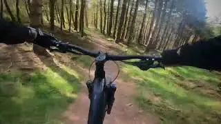 Free Bird Highlights Ballyhoura Trails