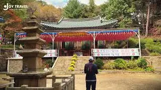 A Travel Day to Yeonjuam Temple &ndash; Hidden Gem in the Mountains