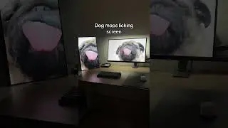 Лучшие обои wallpaper engine | часть 1 #steam #pcsettings #wallpaperengine #pc #gamingsetup #пк