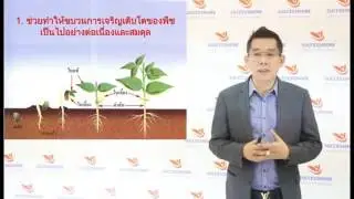 Review Transform บรรยายผลิตภัณฑ์ ทรานส์ฟอร์ม สูตร1 Successmore 0886293503
