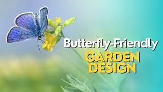 Butterfly-Friendly Garden Design