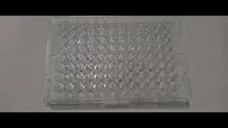 Stable Isotope Sample Preparation