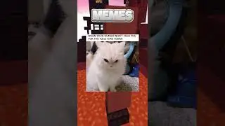 😂 Please Laugh...