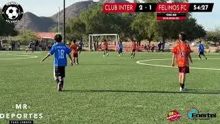 2T CLUB INTER Y FELINOS FC 🔝🔥⚽️🏆
