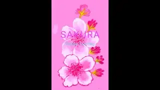 Sakura/Cherry blossoms Digital Painting #shorts #obra trailer