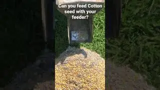Can your deer feeder dispense Cotton seed?