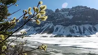 Super Natural Western Canada, with subtitles
