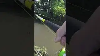 Поймал БОЛЬШОГО плоскоголового сома из Висконсина!