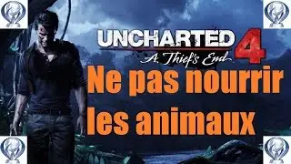 Uncharted 4 : Guide Troph&eacute;e - Ne pas nourrir les animaux