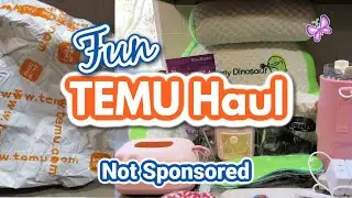 TEMU Haul!  NOT SPONSORED! Check out all the cool things I got!