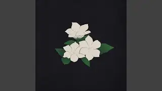 Jasmine