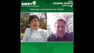 Oak Trees: Caring for Young and Mature Oak Trees