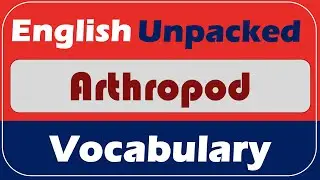 Arthropod