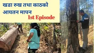 Tree volume calculation|| Part 1||Paperwork||KoF