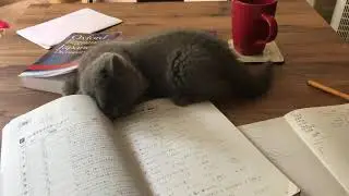 That damn little mablet helping me with revision