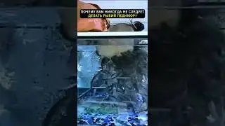 Почему вам НИКОГДА не следует делать РЫБИЙ ПЕДИКЮР?😱