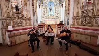 TAFFEL CONSORT INTERPRETA BENEDETTO MARCELLO, Ciaccona