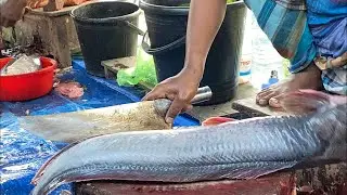 Real Fish Blogger // 