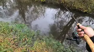 Micro Fishing - Trout Magnet - How well does it work in Germany?