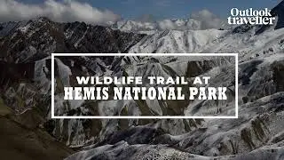 Wildlife Trail at Hemis National Park