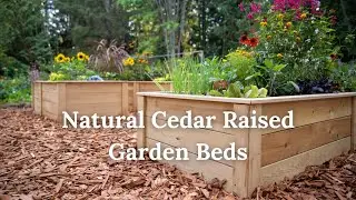 Natural Cedar Raised Garden Beds