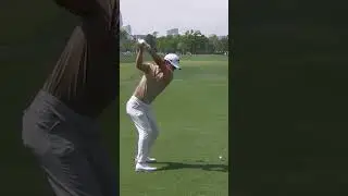 Min Woo Lee Driver Swing 2025 #minwoolee  #pgatour #golfswing #golf