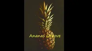 Ananas Groove