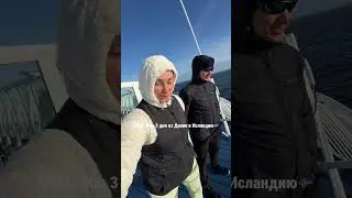 ГОВОРЯТ, НА ПАРОМЕ В ИСЛАНДИЮ СКУЧНО? #намашине  #iceland #travel #moisak #паром