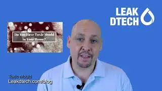 Toxic Mould How Safe is Your Home - Residential Blog - LeakDtech Dubai