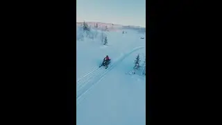 Casual powder-plow with the Lynx Tribe
