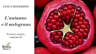 L' autunno e il melograno
