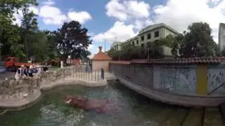 Šetnja kroz Beo zoo vrt [360 Video]