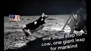 polish cow landing on the moon : small step for cow, one giant leap for mankind