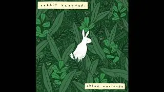 little moth - chloe moriondo (official audio)