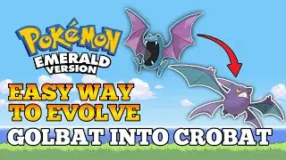 Pokemon Emerald - How To Evolve Golbat Into Crobat | Hoen Pokedex