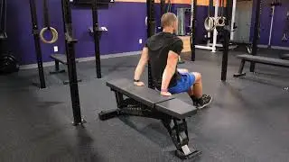Bench Dips