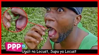 LOCUST PARODY - INNOSS'B FT DIAMOND PLATNUMZ YOPE REMIX